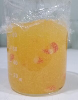 WhatsApp Image 2023-06-08 at 2.54.17 PM