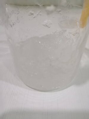 WhatsApp Image 2023-06-09 at 9.52.52 AM