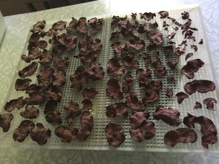 066F78F6-A79C-48B8-82F9-087664D2F904