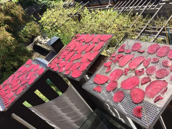 8767EAA4-529D-4CDB-AA8D-CE0FACEF3AA1