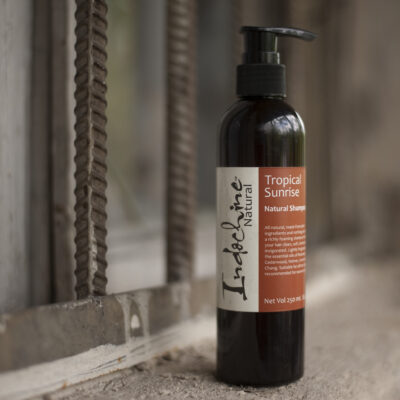 Tropical SH Natia April 2018 copy