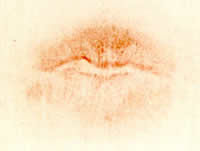 lip prints