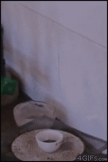 polymerization nitro aniline 15 Awesome Chemistry GIFs